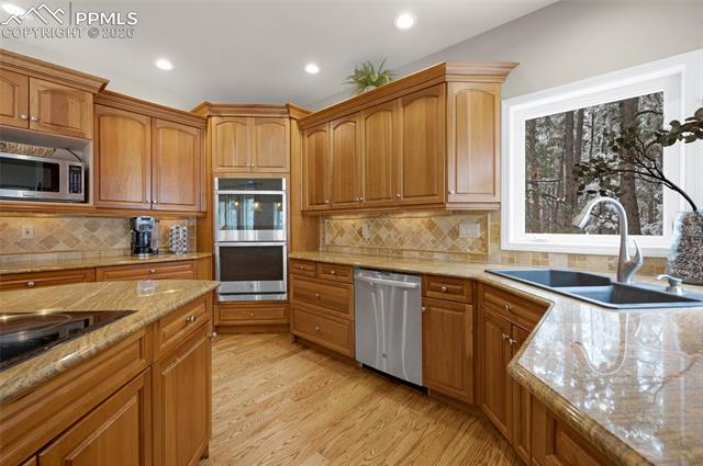 MLS Image for 19665  Desparado  ,Colorado Springs, Colorado