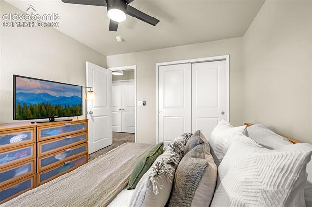 MLS Image for 4168  Samaritan  ,Colorado Springs, Colorado