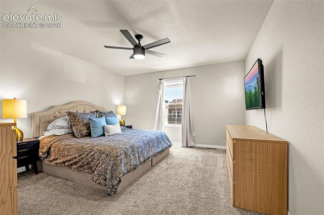 MLS Image for 4168  Samaritan  ,Colorado Springs, Colorado