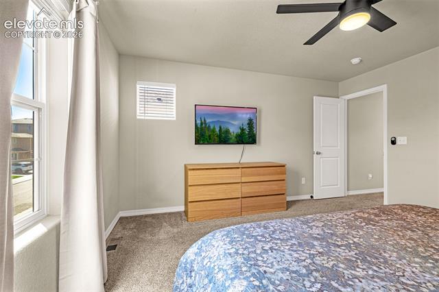 MLS Image for 4168  Samaritan  ,Colorado Springs, Colorado