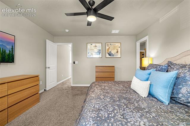 MLS Image for 4168  Samaritan  ,Colorado Springs, Colorado