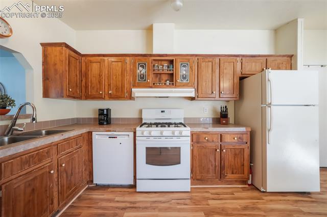 MLS Image for 236  Obsidian  ,Florissant, Colorado