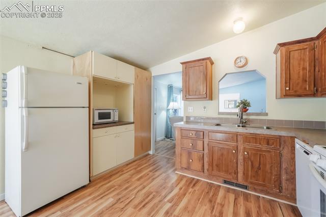 MLS Image for 236  Obsidian  ,Florissant, Colorado