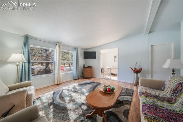 MLS Image for 236  Obsidian  ,Florissant, Colorado