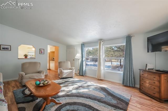 MLS Image for 236  Obsidian  ,Florissant, Colorado