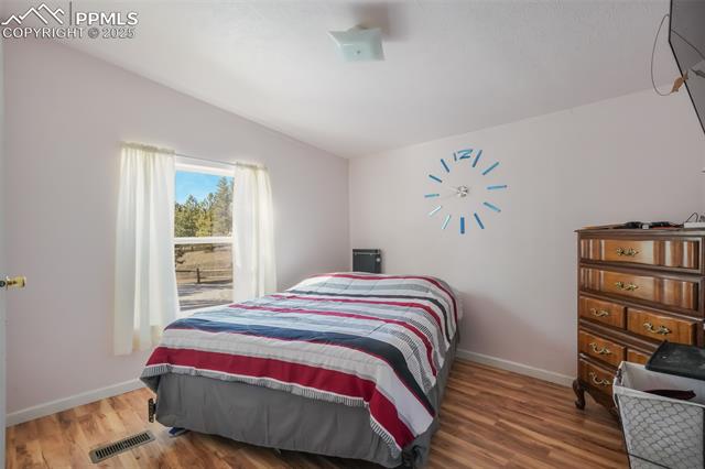 MLS Image for 236  Obsidian  ,Florissant, Colorado