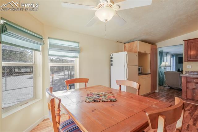 MLS Image for 236  Obsidian  ,Florissant, Colorado