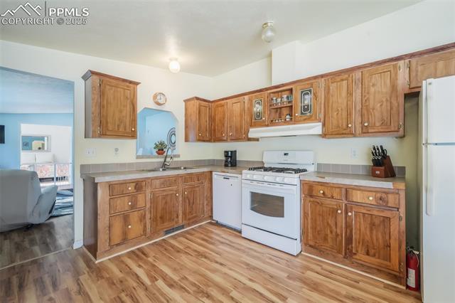 MLS Image for 236  Obsidian  ,Florissant, Colorado