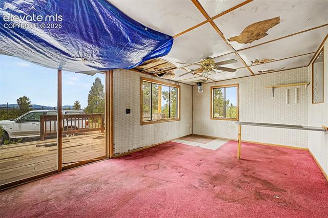 MLS Image for 357  County Road 46  ,Florissant, Colorado