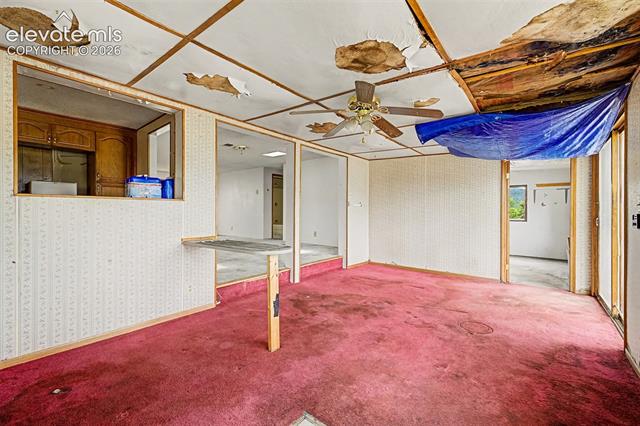MLS Image for 357  County Road 46  ,Florissant, Colorado