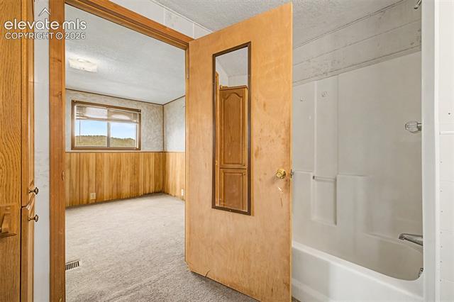 MLS Image for 357  County Road 46  ,Florissant, Colorado