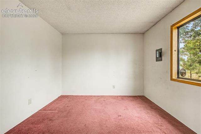 MLS Image for 357  County Road 46  ,Florissant, Colorado