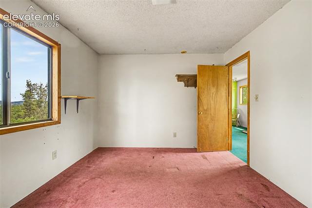MLS Image for 357  County Road 46  ,Florissant, Colorado