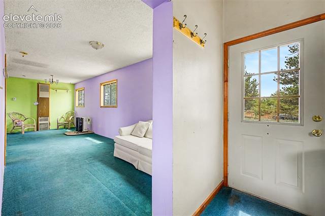 MLS Image for 357  County Road 46  ,Florissant, Colorado