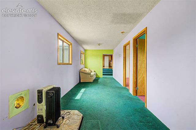 MLS Image for 357  County Road 46  ,Florissant, Colorado