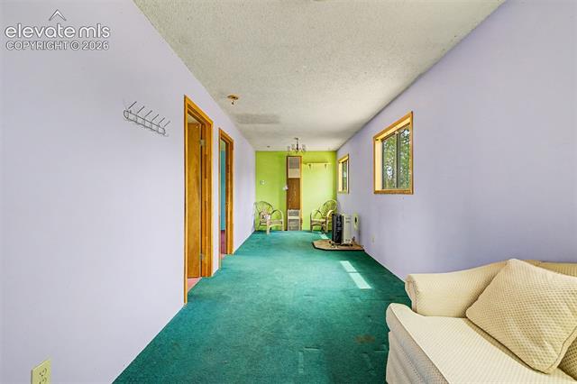 MLS Image for 357  County Road 46  ,Florissant, Colorado