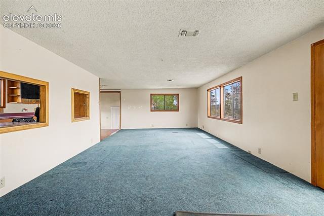 MLS Image for 357  County Road 46  ,Florissant, Colorado