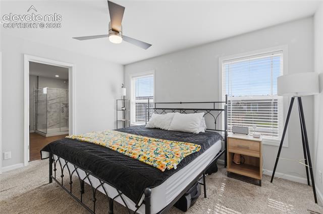 MLS Image for 4349  Gray Fox  ,Colorado Springs, Colorado