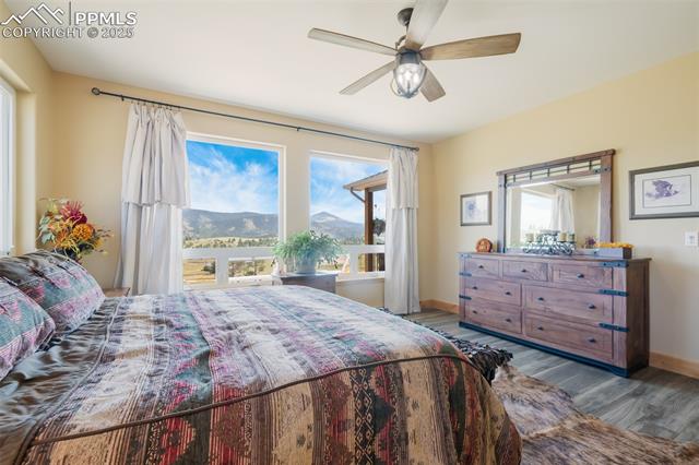 MLS Image for 325  Spring Valley  ,Florissant, Colorado