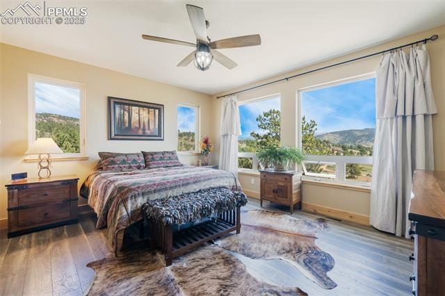 MLS Image for 325  Spring Valley  ,Florissant, Colorado