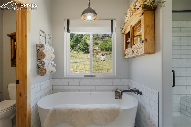 MLS Image for 325  Spring Valley  ,Florissant, Colorado