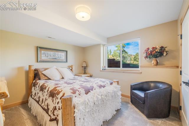 MLS Image for 325  Spring Valley  ,Florissant, Colorado