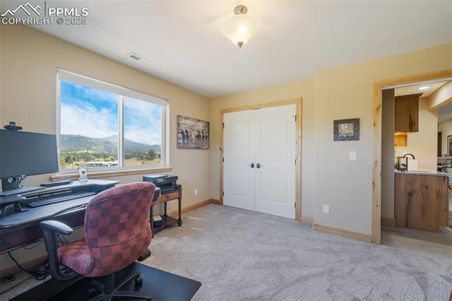 MLS Image for 325  Spring Valley  ,Florissant, Colorado