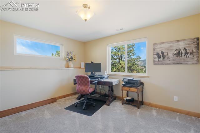 MLS Image for 325  Spring Valley  ,Florissant, Colorado
