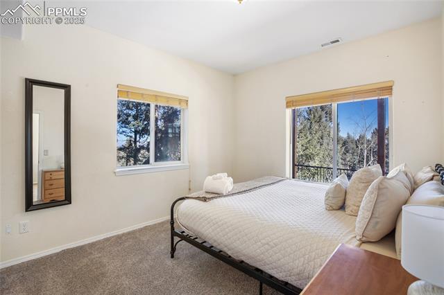 MLS Image for 635  Wakanda  ,Woodland Park, Colorado