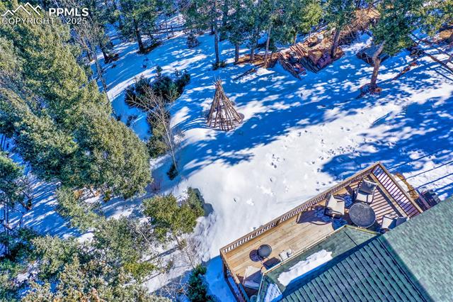 MLS Image for 635  Wakanda  ,Woodland Park, Colorado