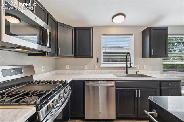 MLS Image for 4680  Pika  ,Colorado Springs, Colorado