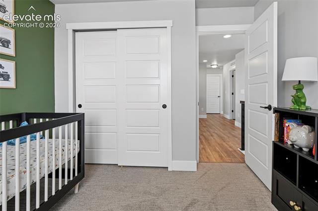 MLS Image for 9776  Antelope Ravine  ,Colorado Springs, Colorado