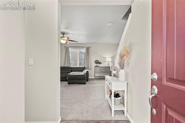MLS Image for 10671  Cattle Baron  ,Colorado Springs, Colorado