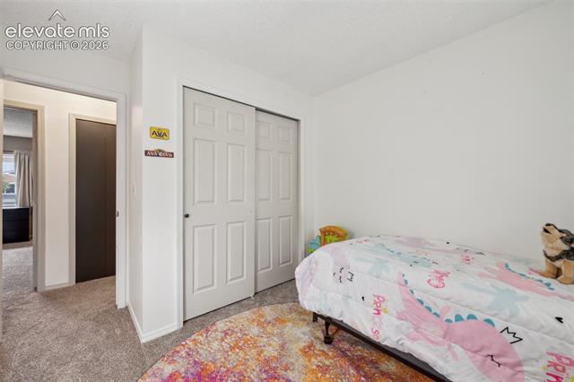 MLS Image for 3335  Galleria  ,Colorado Springs, Colorado