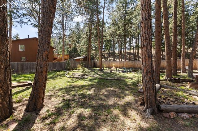MLS Image for 305 N Walnut  ,Woodland Park, Colorado