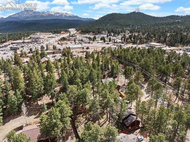 MLS Image for 305 N Walnut  ,Woodland Park, Colorado