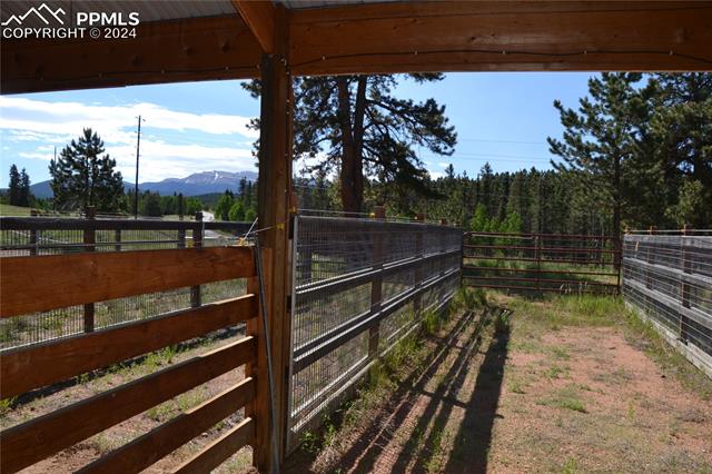 MLS Image for 4763  County Road 42  ,Divide, Colorado