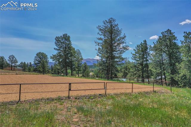 MLS Image for 4763  County Road 42  ,Divide, Colorado