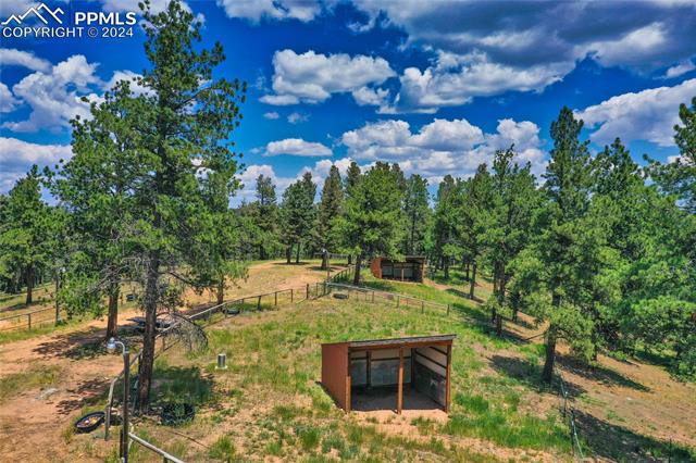 MLS Image for 4763  County Road 42  ,Divide, Colorado