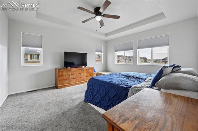 MLS Image for 7055  Jagged Rock  ,Colorado Springs, Colorado