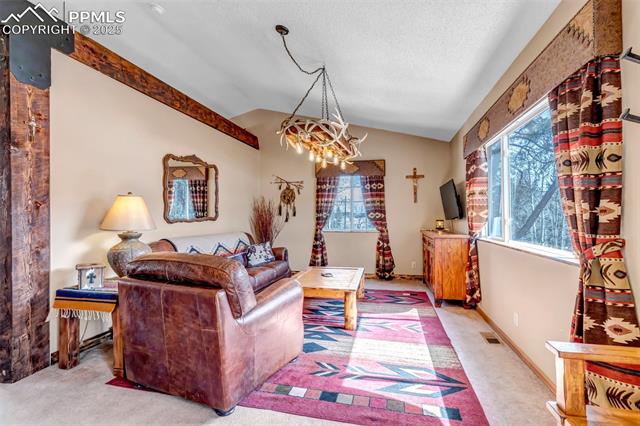 MLS Image for 946  Jolly Rogue  ,Divide, Colorado