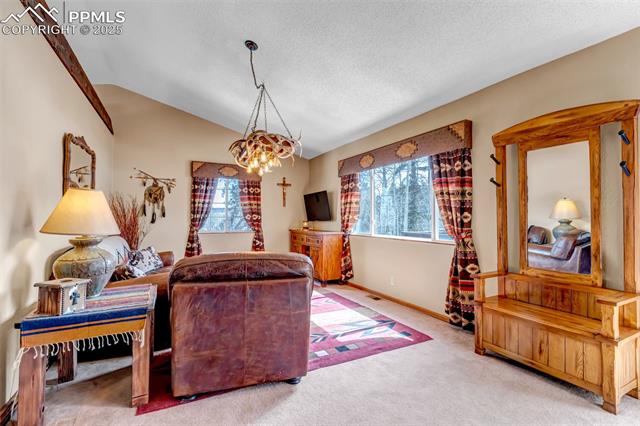 MLS Image for 946  Jolly Rogue  ,Divide, Colorado