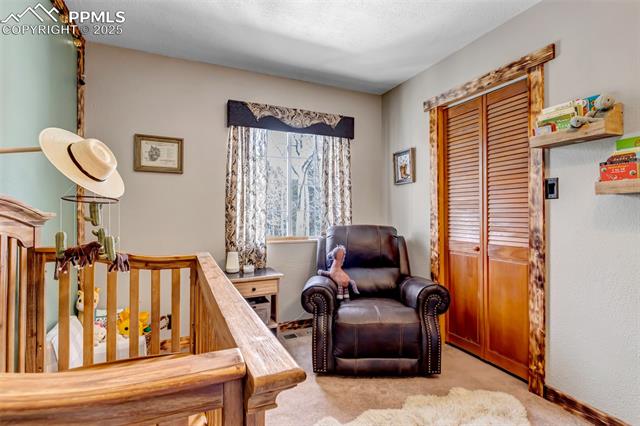 MLS Image for 946  Jolly Rogue  ,Divide, Colorado