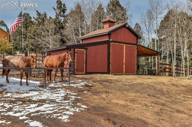 MLS Image for 946  Jolly Rogue  ,Divide, Colorado