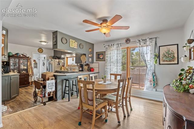 MLS Image for 501  Birch  ,Colorado Springs, Colorado