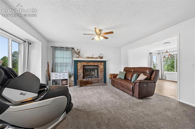 MLS Image for 7730  Conifer  ,Colorado Springs, Colorado