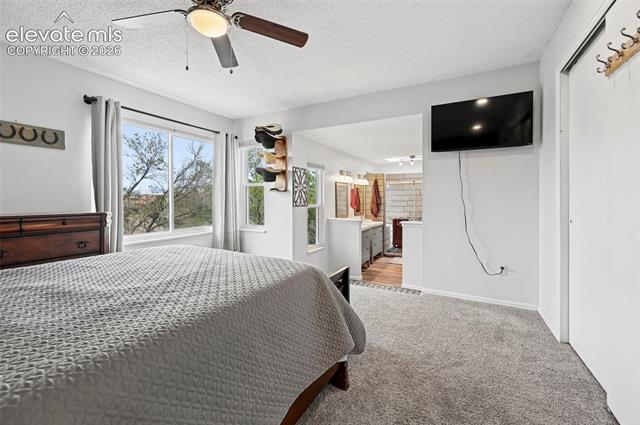 MLS Image for 7730  Conifer  ,Colorado Springs, Colorado