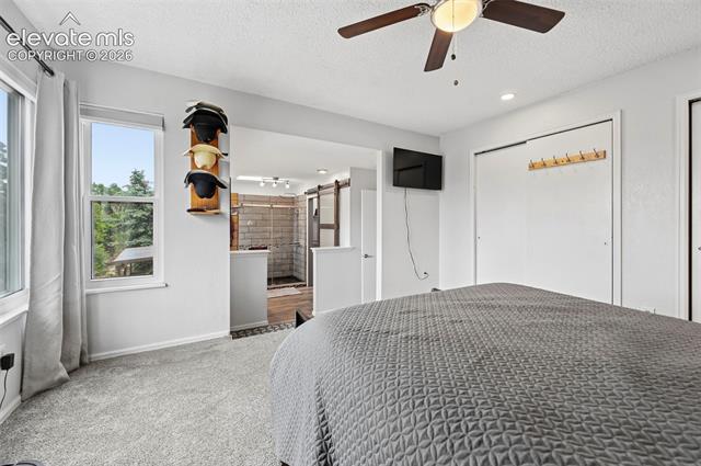 MLS Image for 7730  Conifer  ,Colorado Springs, Colorado