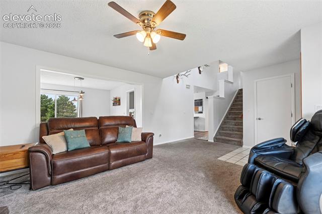 MLS Image for 7730  Conifer  ,Colorado Springs, Colorado