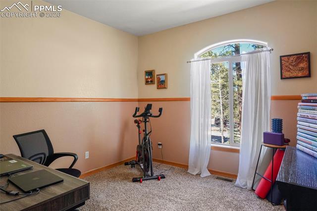 MLS Image for 1185  Karen  ,Woodland Park, Colorado